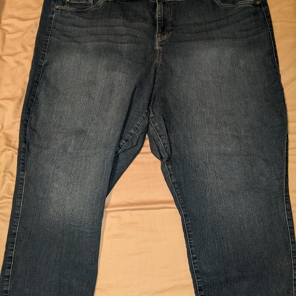 (1) pair of blue jeans